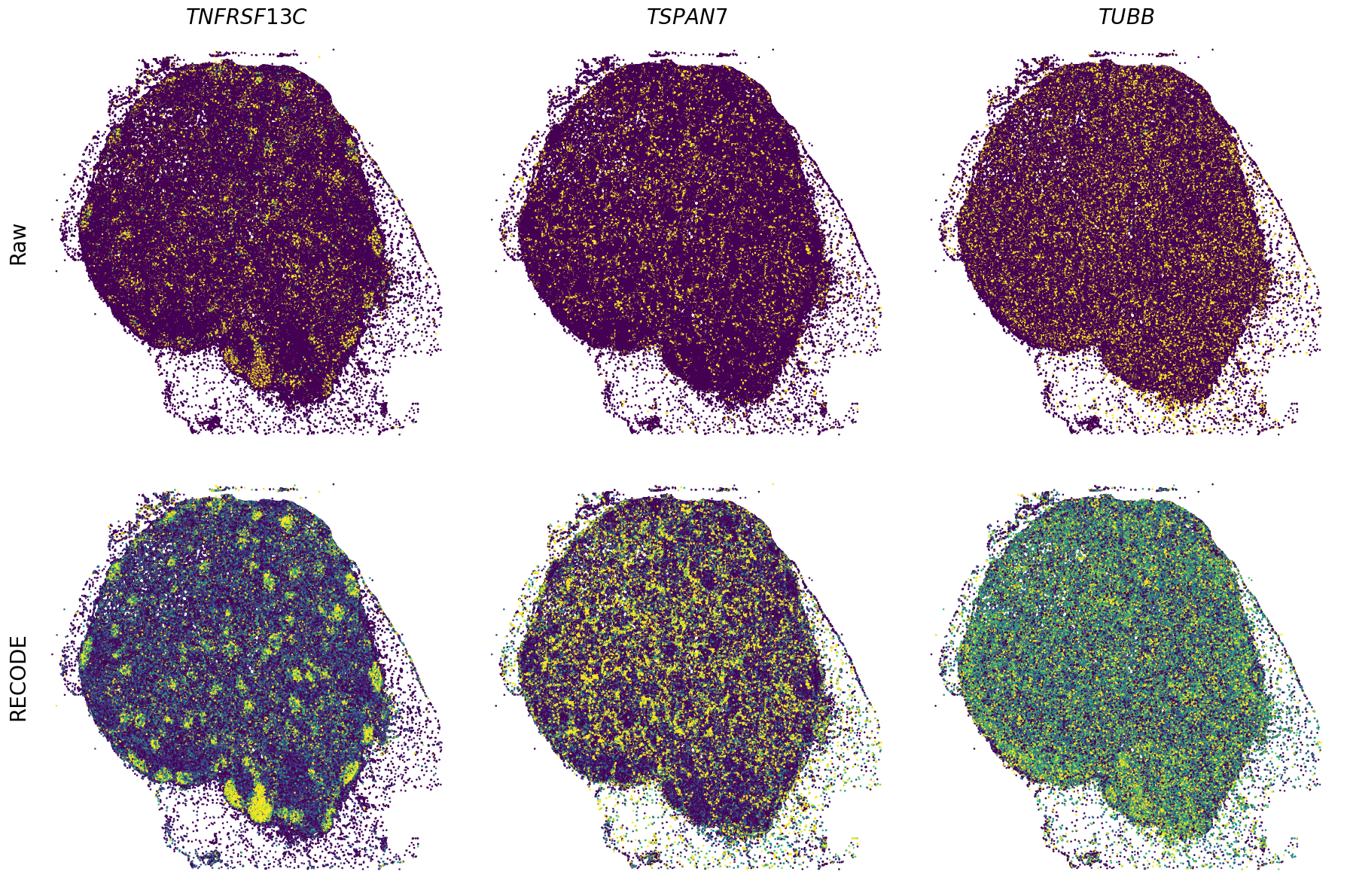 ../_images/Tutorials_Tutorial_SpatialTranscriptome_XeniumPrime_14_25.png