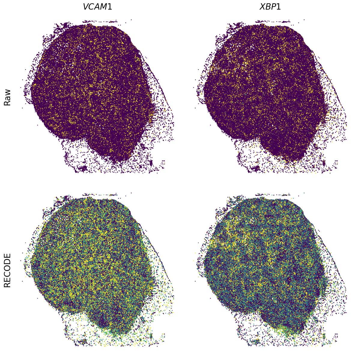 ../_images/Tutorials_Tutorial_SpatialTranscriptome_XeniumPrime_14_26.png