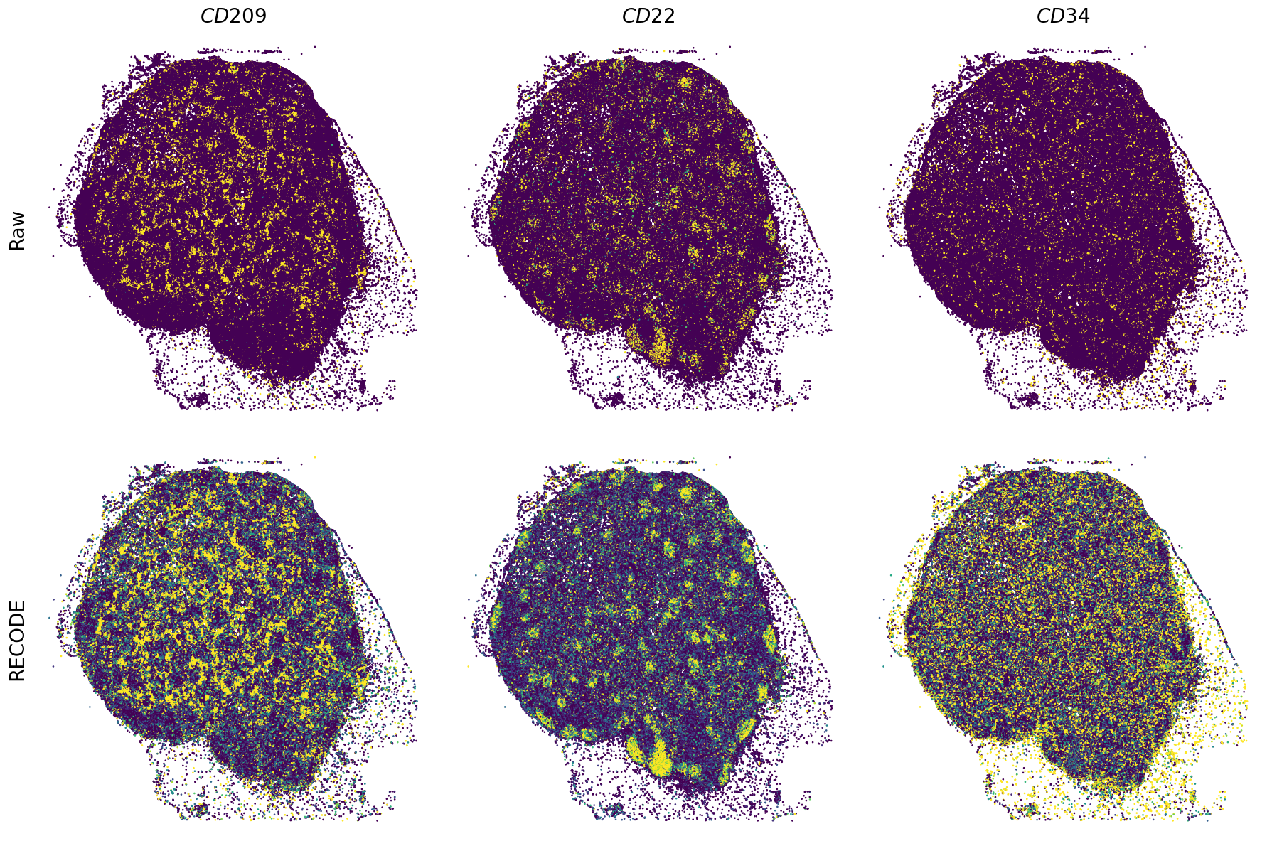 ../_images/Tutorials_Tutorial_SpatialTranscriptome_XeniumPrime_14_3.png