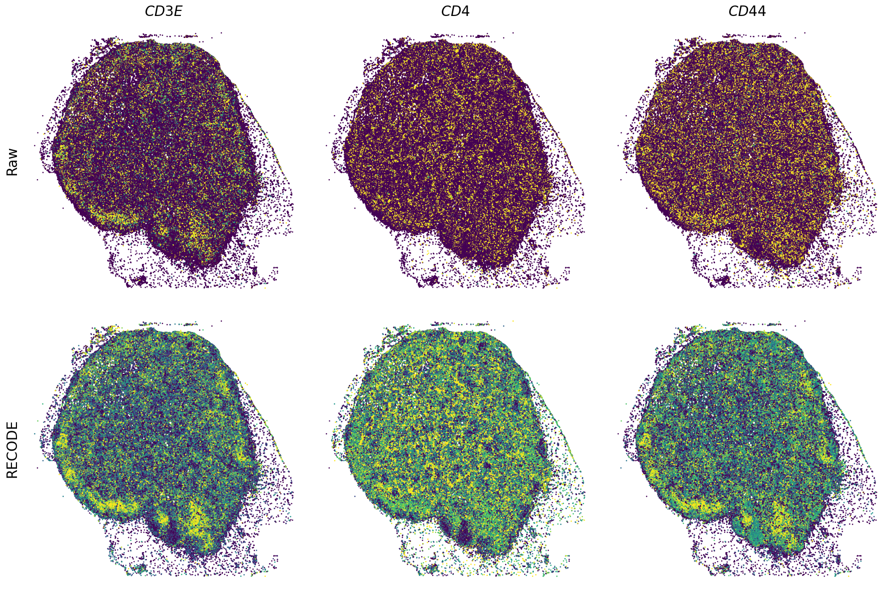 ../_images/Tutorials_Tutorial_SpatialTranscriptome_XeniumPrime_14_4.png