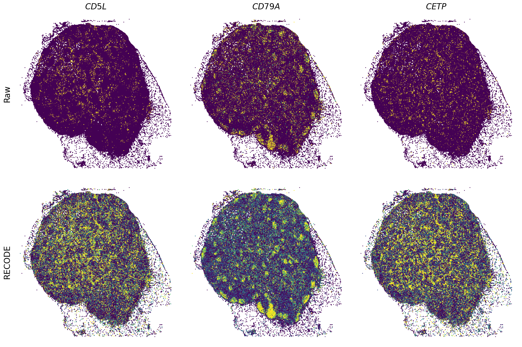 ../_images/Tutorials_Tutorial_SpatialTranscriptome_XeniumPrime_14_5.png