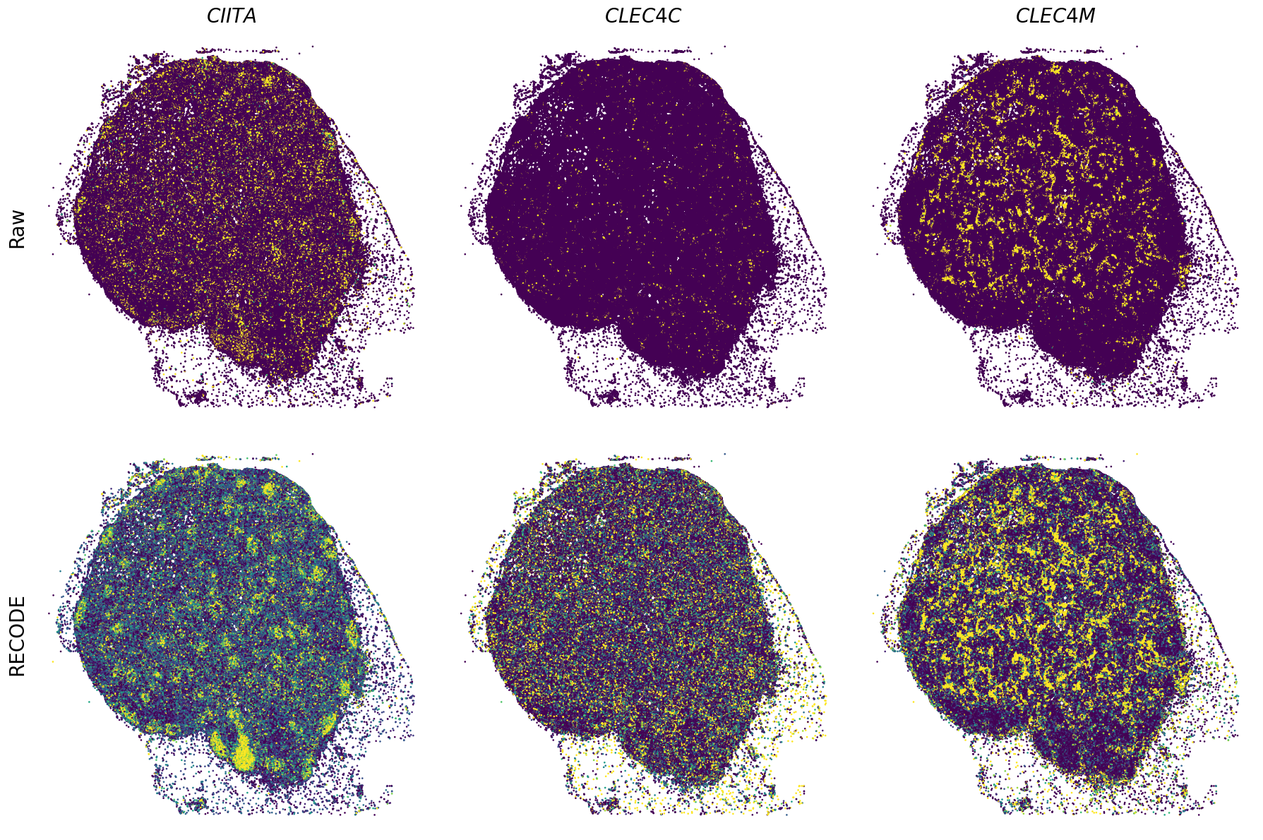 ../_images/Tutorials_Tutorial_SpatialTranscriptome_XeniumPrime_14_6.png