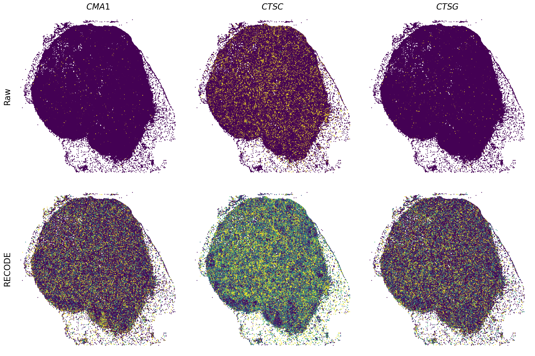 ../_images/Tutorials_Tutorial_SpatialTranscriptome_XeniumPrime_14_7.png