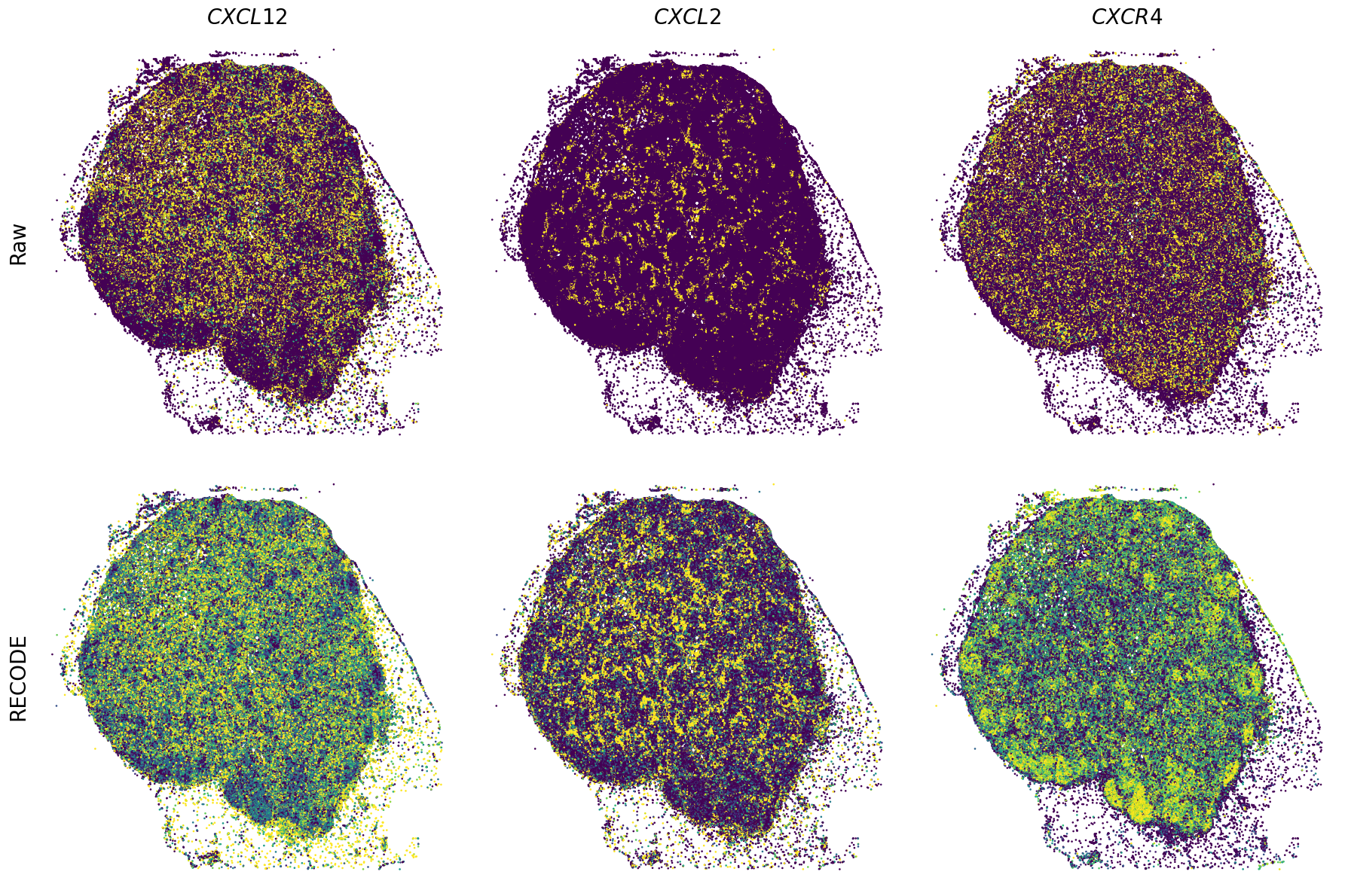 ../_images/Tutorials_Tutorial_SpatialTranscriptome_XeniumPrime_14_8.png