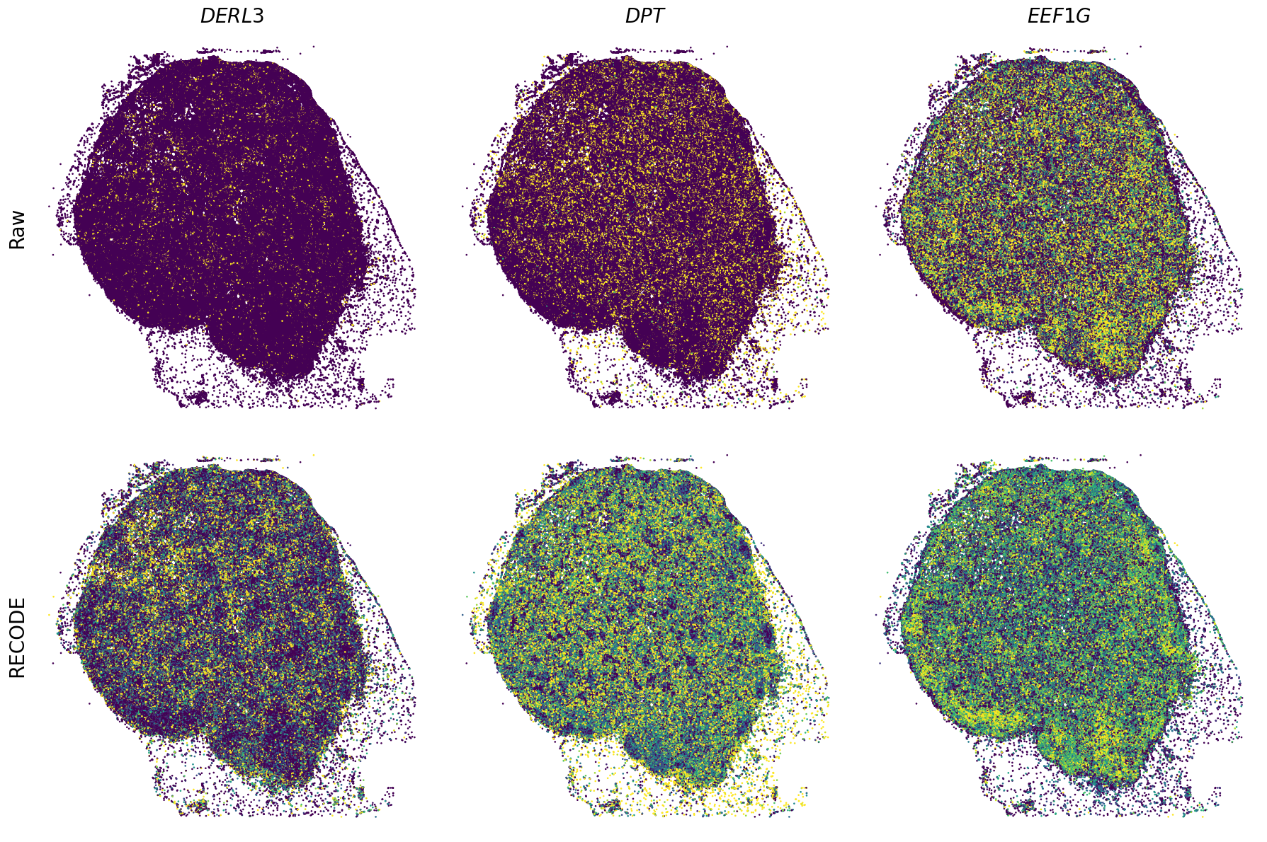 ../_images/Tutorials_Tutorial_SpatialTranscriptome_XeniumPrime_14_9.png