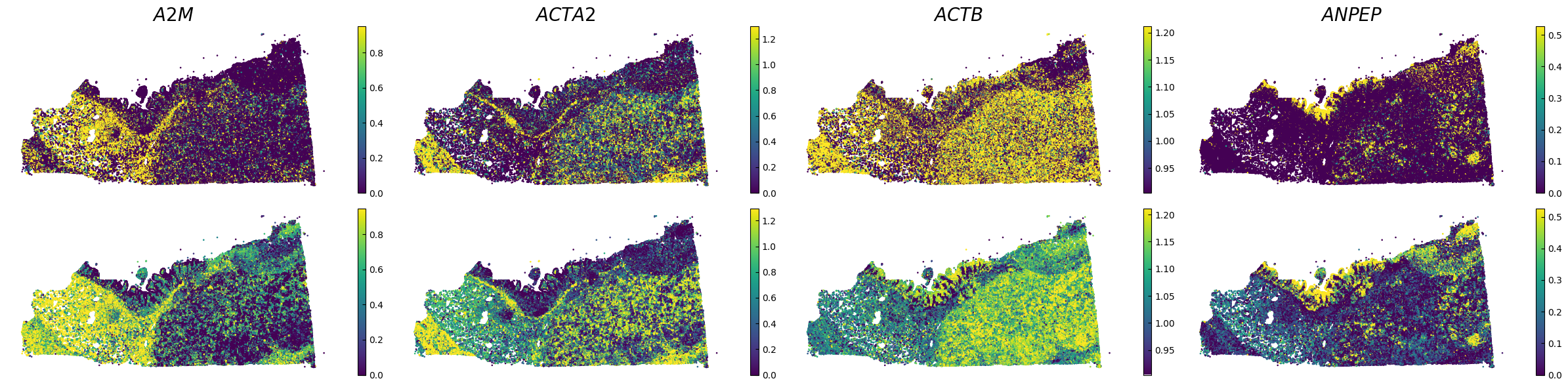 ../_images/Tutorials_Tutorial_SpatialTranscriptome_Xenium_14_0.png