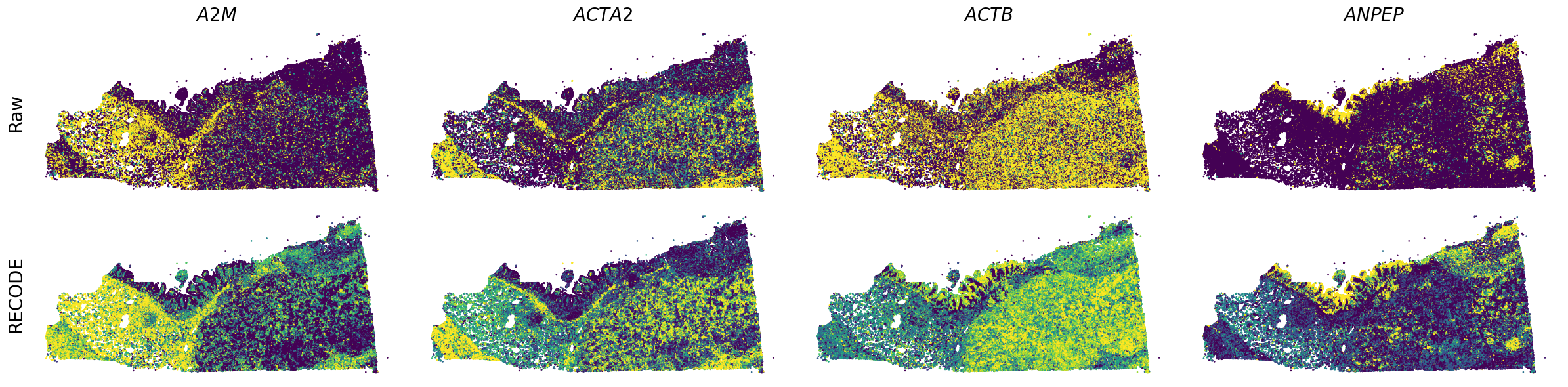 ../_images/Tutorials_Tutorial_SpatialTranscriptome_Xenium_14_1.png