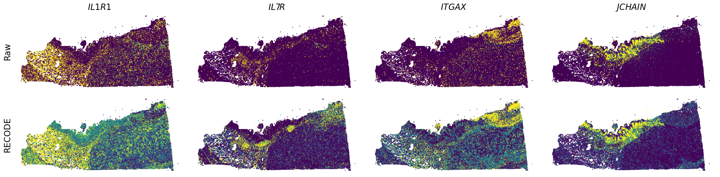 ../_images/Tutorials_Tutorial_SpatialTranscriptome_Xenium_14_10.png