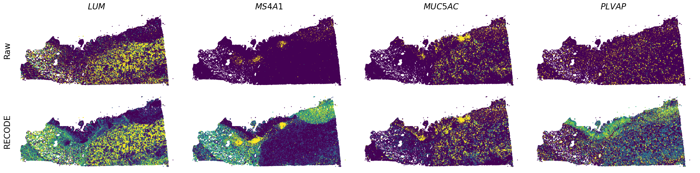 ../_images/Tutorials_Tutorial_SpatialTranscriptome_Xenium_14_11.png