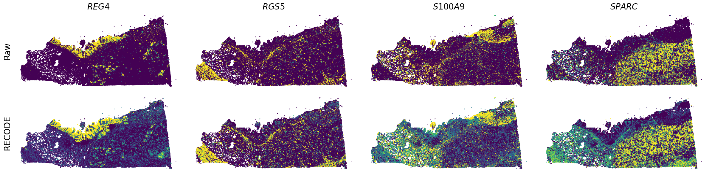 ../_images/Tutorials_Tutorial_SpatialTranscriptome_Xenium_14_12.png