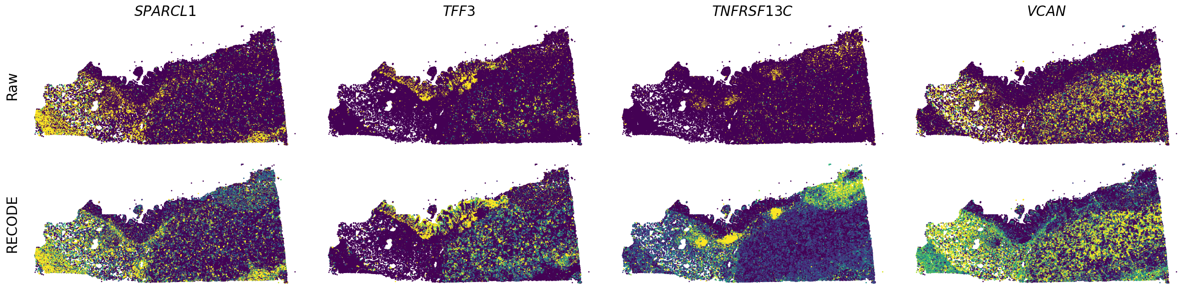 ../_images/Tutorials_Tutorial_SpatialTranscriptome_Xenium_14_13.png