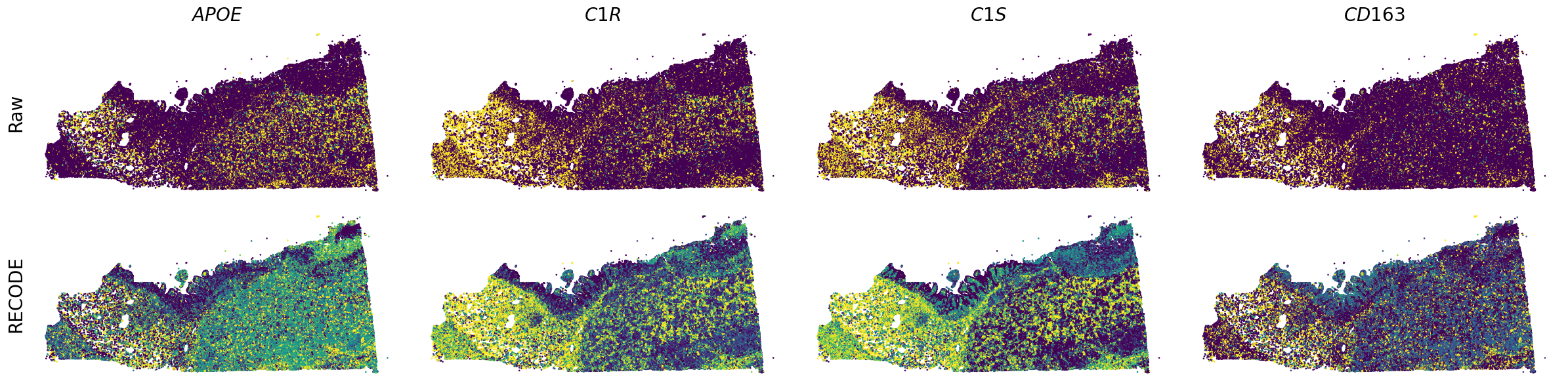 ../_images/Tutorials_Tutorial_SpatialTranscriptome_Xenium_14_2.png