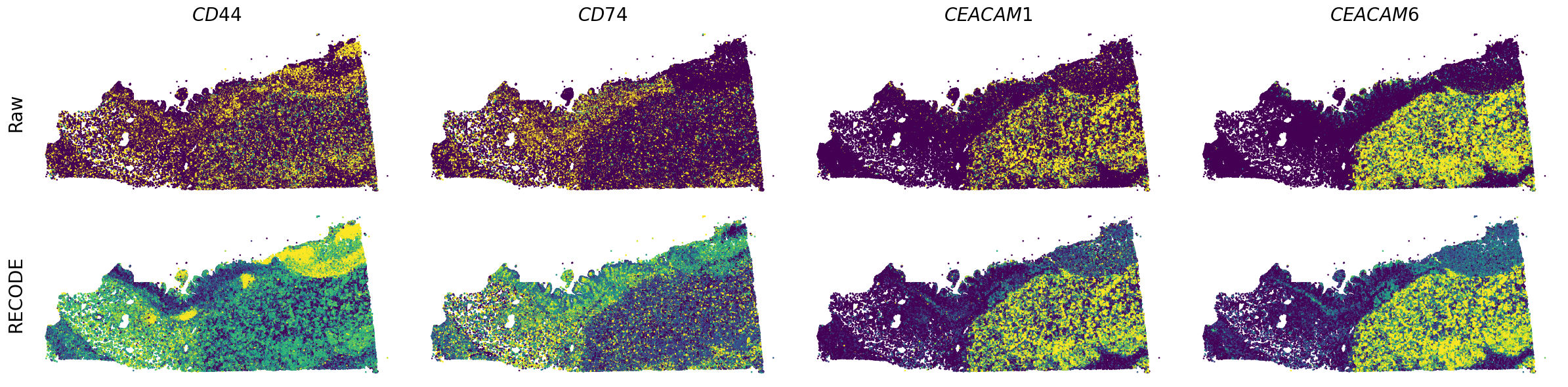 ../_images/Tutorials_Tutorial_SpatialTranscriptome_Xenium_14_3.png