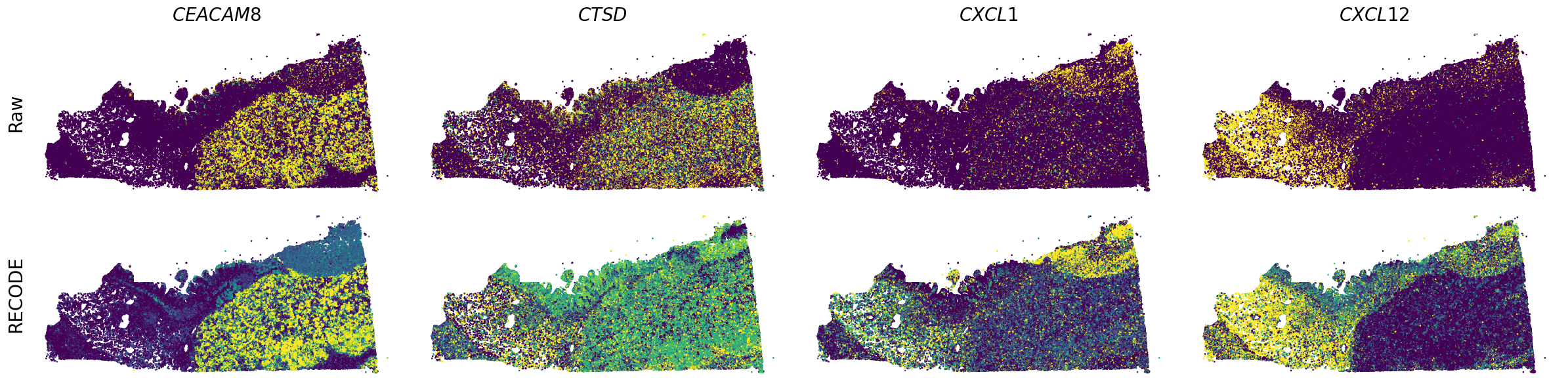 ../_images/Tutorials_Tutorial_SpatialTranscriptome_Xenium_14_4.png