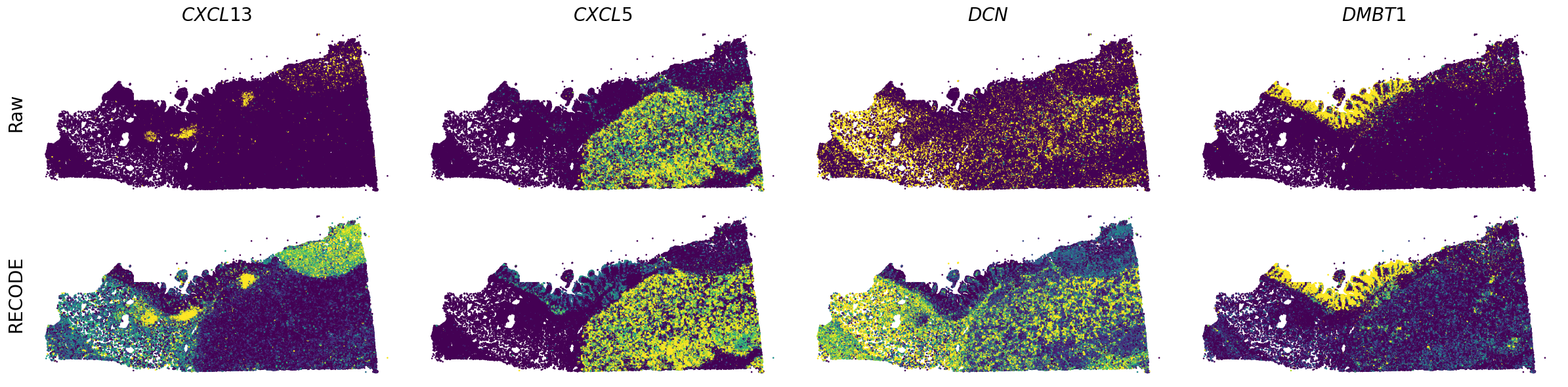 ../_images/Tutorials_Tutorial_SpatialTranscriptome_Xenium_14_5.png