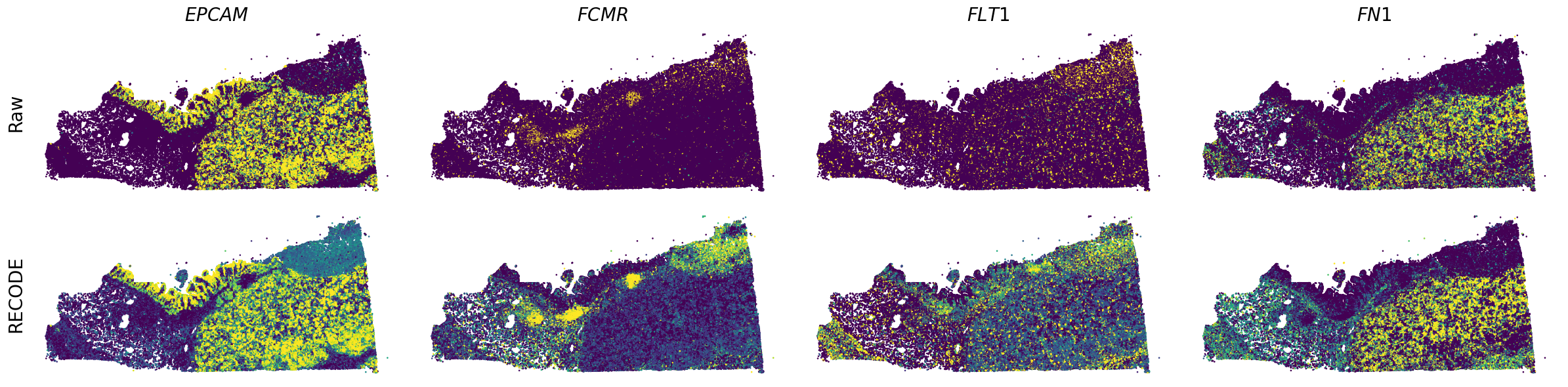 ../_images/Tutorials_Tutorial_SpatialTranscriptome_Xenium_14_6.png