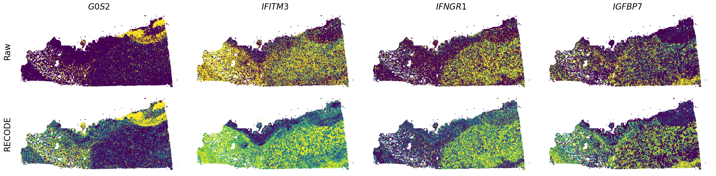 ../_images/Tutorials_Tutorial_SpatialTranscriptome_Xenium_14_7.png