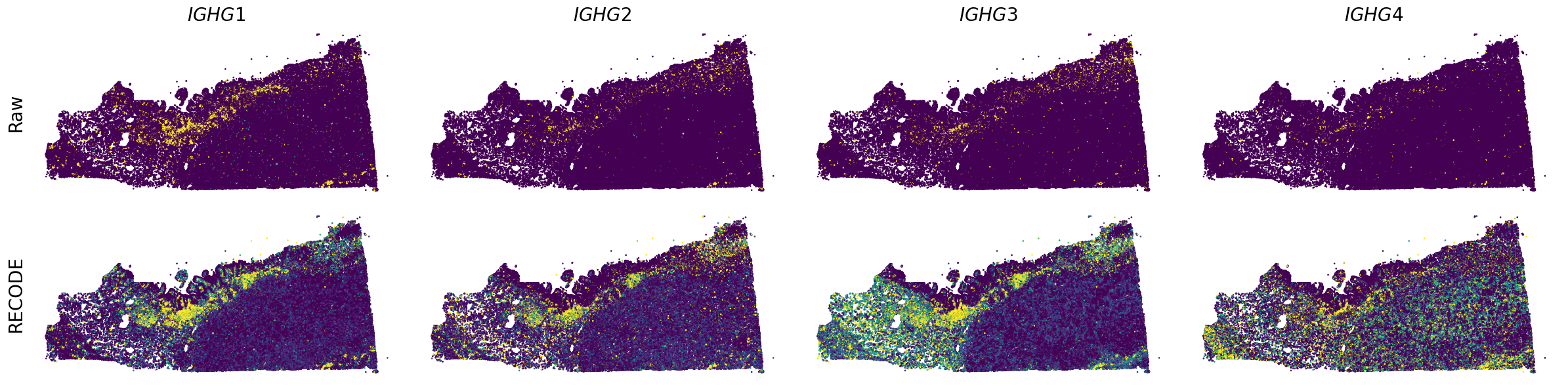 ../_images/Tutorials_Tutorial_SpatialTranscriptome_Xenium_14_8.png