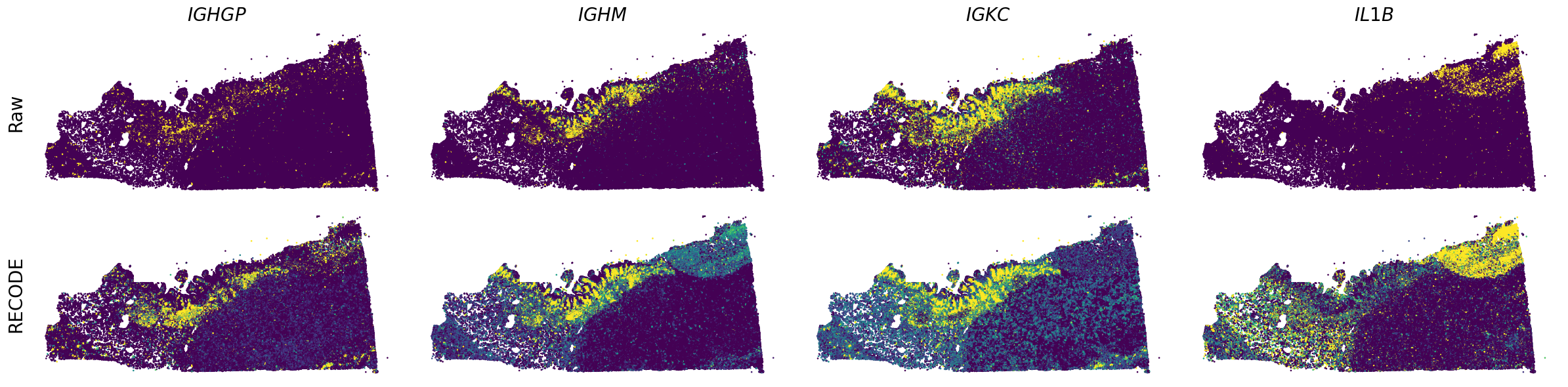 ../_images/Tutorials_Tutorial_SpatialTranscriptome_Xenium_14_9.png